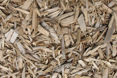 biomass boilers Swarraton