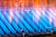 Swarraton gas fired boilers